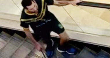 Cauchi's knife rampage resulted in the murder of six people