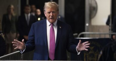 NY Court of Appeals Denies Trump's Bid to Delay Manhattan Trial – RedState