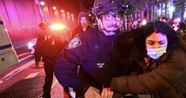 Police finally made their move on the pro-Palestinian protestors at NYU after hours of warnings