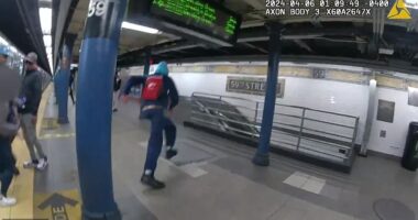 Footage shows how a repeat subway offender was chased downed and arrested by some well-placed police after snatching a woman¿s purse in New York. The incident occurred as the 6 train pulled into the 59th Street Station in Manhattan Saturday, and saw a suspect, 41-year-old Alex Martinez, swiftly arrested.