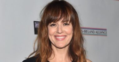 Naked Truth Of Rosemarie DeWitt – Husband, Surgery, Wealth