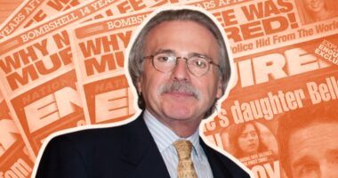 David Pecker Witness Trump Trial