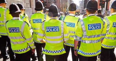 A line of Metropolitan police officers. Research by the Centre for Social Justice (CSJ) found around 2 million people had fallen victim to violence or been threatened in the period. The shocking number comes as analysis shows that violence in London cost taxpayers around £7 billion in 2023