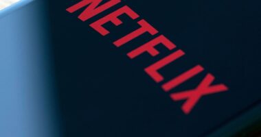 Netflix’s stock has worst day in two years as its ‘rite of passage’  gets panned