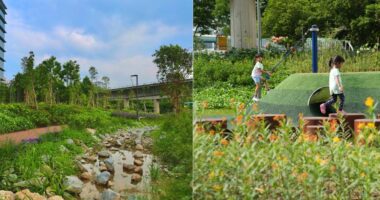 New Buona Vista node along Rail Corridor features playground & community lawn - Mothership.SG