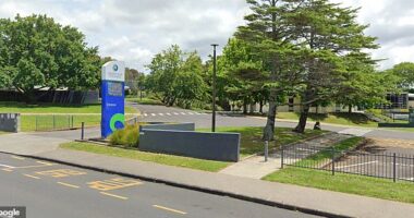 The girl, who is a student at Green Bay High School (pictured) in West Auckland, New Zealand, was allegedly targeted on March 19 at 4.23pm