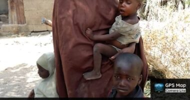Nigerian Army rescues another Chibok girl 10 years after her abduction