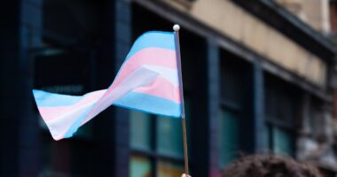 trans flag