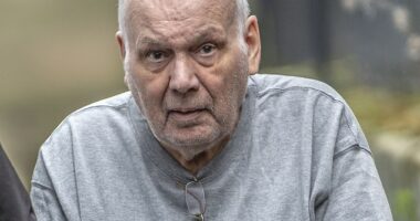 Richard Burrows, 80, (pictured) appeared at Chester Crown Court today and admitted he had deliberately evaded the authorities for the past 26 years