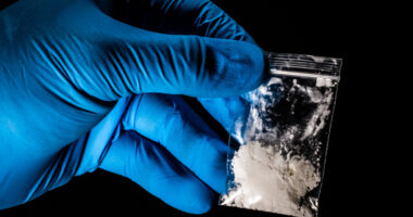 Parents, Roommate & His Girlfriend Charged in Fentanyl  Death of Tot Girl