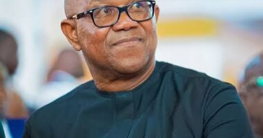 Peter Obi explains why Nigeria should shift from presidential system of governance to parliamentary system