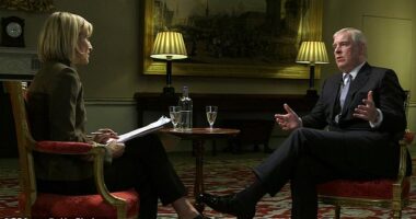 During his Newsnight interview in November 2019, the Duke of York refused to apologise for his friendship with convicted paedophile Jeffrey Epstein