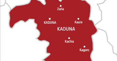 Police deny killing Shiites in Kaduna