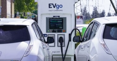 Politico Explains Why Republicans Will 'Regret Their Crusade Against Electric Cars'