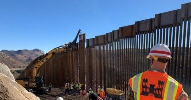 Poll: Latino Support for Deportations, Border Wall Surged at Least 10 Points Since 2021