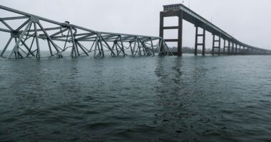 Port of Baltimore channel to ‘tentatively’ reopen soon following bridge collapse