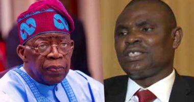 President Tinubu receives final report of Obazee?s investigation on CBN under Emefiele