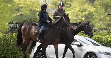 Prince Andrew embarked on his usual Saturday morning horse-riding trip around Windsor Castle today, as questions emerge over his former marital home