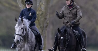Duke of York (pictured), 64, was dressed in a khaki jacket, red jumper, black trousers and a helmet for the excursion