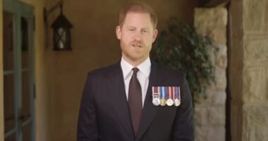 Prince Harry wore a series of medals to present a US combat medic with a Soldier of the Year Award via video message