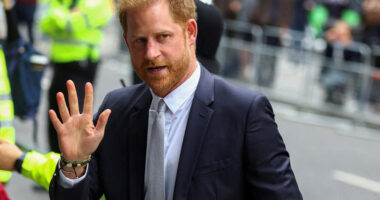 Prince Harry loses appeal to overturn ruling against his personal security in U.K