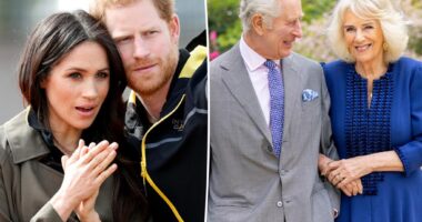 Prince Harry sets May trip to London as cancer-stricken King Charles announces return to duties