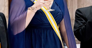 Crown Princess Amalia of the Netherlands looked poised as she attended her first state banquet in Amsterdam on Wednesday evening, despite news of her recent security fears