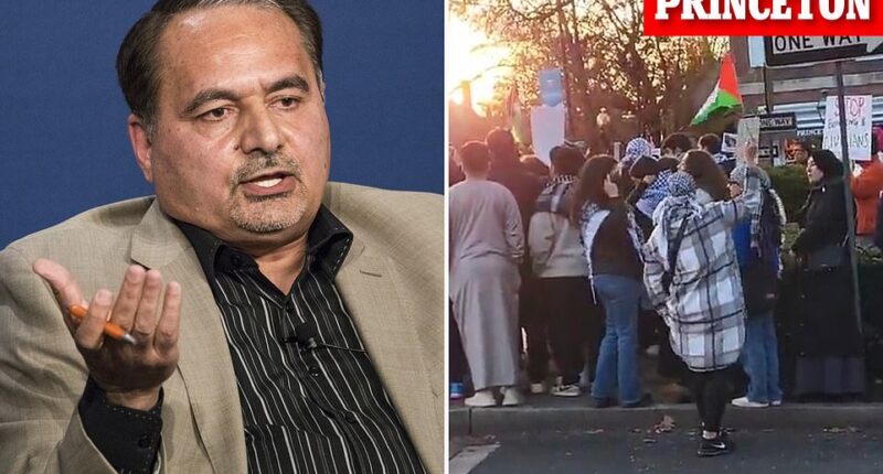 An Iranian Princeton professor who is being probed by the House has been accused of endorsing Hamas and Hezbollah after a decades-old interview resurfaced. In an interview in 1997 with German newspaper Taz, Seyed Hossein Mousavian was asked if Iran supports groups like Hezbollah and Hamas. Mousavian, who was the Iranian Ambassador to Germany at the time, seems to throw his support behind Hamas during the interview.