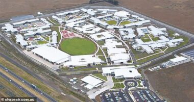 A 22-year-old man has died after a fire broke in a cell at the Metropolitan Remand Centre in Ravenhall (pictured), in Melbourne's West, on Sunday night