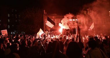 Pro-Palestinian protesters have launched a wave of protests on campus condemning Israel's offensive on the Gaza Strip, including at New York University