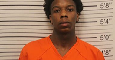 Donterious Stephens (pictured), 19, allegedly murdered Lorenzo Harrison, 18, at an after-party for Helena-West Helena's Central High School's prom. Stephens has been charged with first-degree murder and possession of firearms