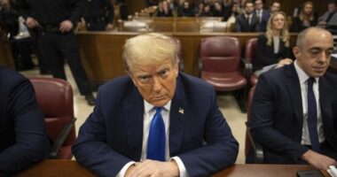 Prosecutors in Trump’s New York Trial Prove Their Witness is a Lying 'Pecker' Who Faked Evidence