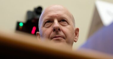 Proxy adviser ISS says Goldman should separate chairman and chief executive roles in challenge to David Solomon: report