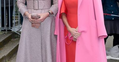 Queen Maxima (L) and Queen Letizia (R) looked stunning in coordinated pink outfits in Amsterdam today