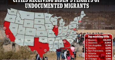 A new analysis reveals which U.S. cities where the majority of the migrants are arriving on President Joe Biden's program flying up to 30,000 undocumented migrants each month to be released into the U.S.