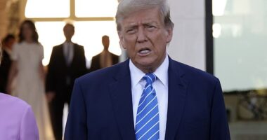 Former President Donald Trump has reportedly revealed his plan to end the war in Ukraine is by getting them to give up land to Russia