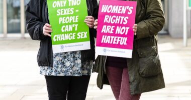 Susan Smith, a mother of three with a career in finance, tells me how trans activists would report them to the police for non-specific crimes whenever they set up a street stall. Marion Calder (left) and Susan Smith stand outside Scottish Parliament