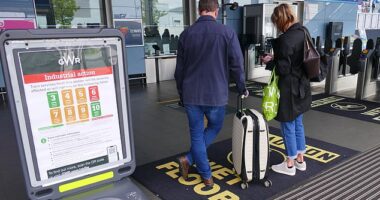 Rail passengers are facing fresh chaos today as train drivers, on a median salary of £60,000, strike at six companies leaving vast swathes of Britain with zero services (pictured: Reading Station)