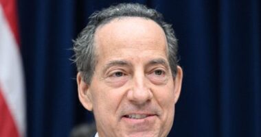 Raskin: Supreme Court Should Be Moved 'Over to the RNC Headquarters'