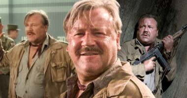 Ray Winstone: Top 10 Highest-Grossing Movies