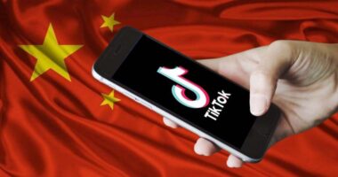 Regulators Launch Probe Into TikTok's 'Addictive' Features.