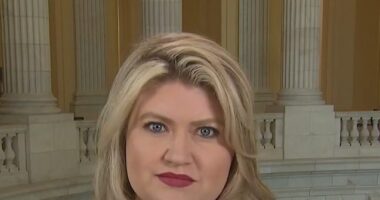 Rep. Cammack to Introduce Legislation Prohibiting 'Display of Foreign' Flags on House Floor