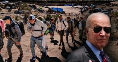 Report: Migrants Along Border Say They 'Want Biden to Win' 2024 Election