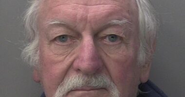 David Mundy, 85, of Esher, Sussex, has been sentenced to 10 months in prison after being found with nearly 60,000 indecent images of children