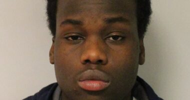 Janayo Lucima, a 21-year-old man who was shot dead on an upmarket West London street, was jailed in 2019 for his part in dismembering a jazz musician
