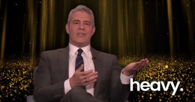 Robyn Dixon Pitches 2-Hour Special to Andy Cohen During Reunion Show