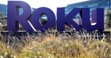 Roku warns of tougher bar for growth ahead. An analyst says that is its ‘fundamental risk.’