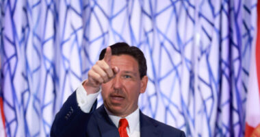Ron DeSantis: Foreign Students Engaging in Antisemitic Protests Should Have Visas Canceled