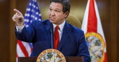 Ron DeSantis Privately Informs Donors He Will Raise Funds For Donald Trump, Report Says