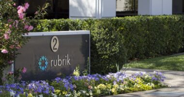 Rubrik files for IPO as market continues to display signs of unfreezing